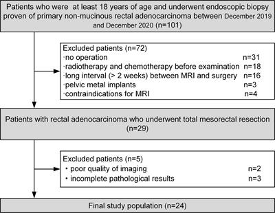 The use of quantitative T1-mapping to identify cells and collagen fibers in rectal cancer